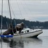 У США морські леви викрали катер