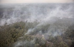 Пожары в Луганской области/ Фото: ГСЧС