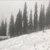 Погода на Покрову прогнозує зиму: у Карпатах випав перший сніг