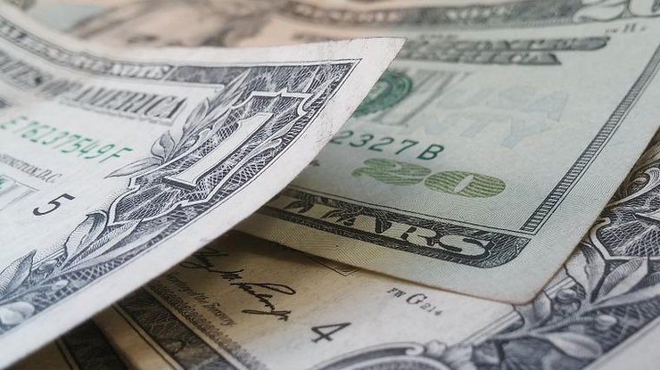 Доллары/Фото: pixabay