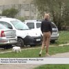 В Івано-Франківську невідомі отруюють чотирилапих