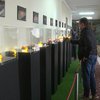 В Украине провели первый аукцион по продаже янтаря (видео)