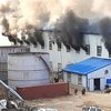 В Кыргызстане вспыхнул пожар