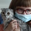 Кошки способны заражать людей коронавирусом 