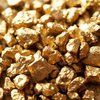 Впервые за 15 лет на Закарпатье восстановили добычу золота