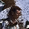 Китаец поставил "пчелиный" мировой рекорд (видео)