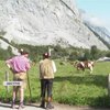 Чому Альпійські луки можуть зникнути назавжди