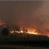 Пожежі у Каліфорнії: площа займання побила всі рекорди