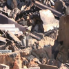 На Луганщині від полум'я детонували нерозірвані боєприпаси