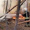 Пожар в Луганской области: ликвидировали крупнейший очаг возгорания 