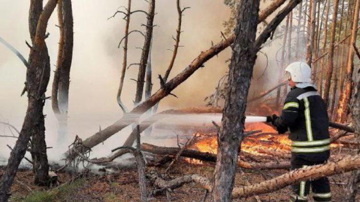 Пожары в Луганской области / Фото: ГСЧС