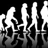 Эволюция человека: ученые сделали ошеломительное заявление