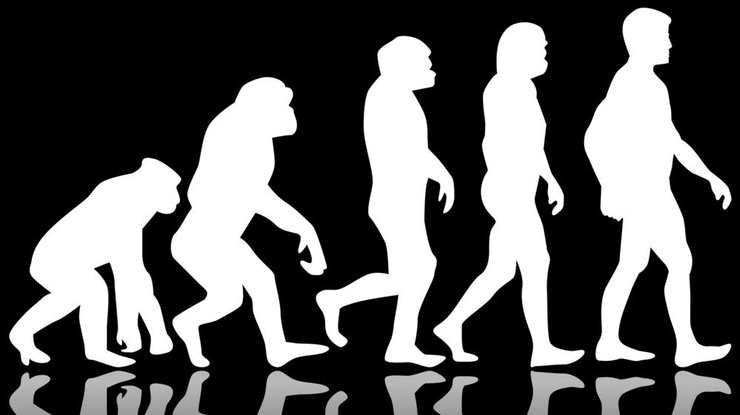 Эволюция человека/ фото из открытых источников