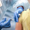 Когда Украина может получить вакцину от коронавируса: в ВОЗ назвали сроки 