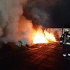 В Днепре на заводе вспыхнул жуткий пожар (фото) 