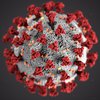 Ученые рассказали, как изменился коронавирус с начала пандемии