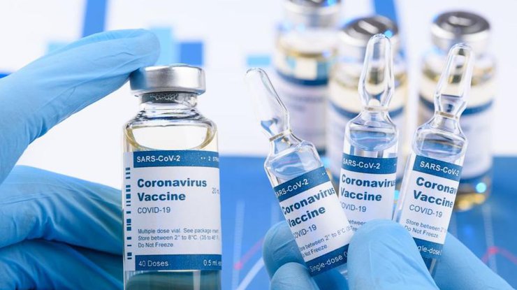 Вакцина от коронавируса/ фото: Rg.ru