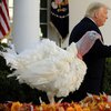 День благодарения в США: Трамп традиционно помиловал индейку