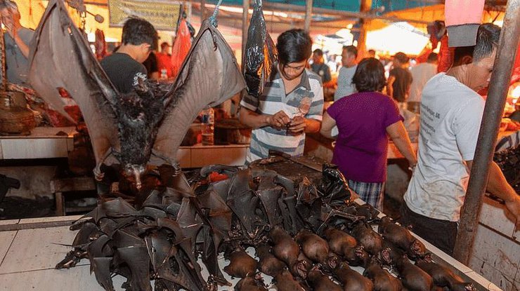 Фото: рынок в Ухане / Фокус