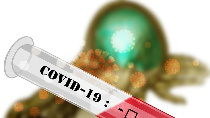 Тест на коронавирус/Фото: pixabay