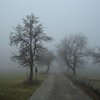 Дождь и туман: прогноз погоды на 3 ноября
