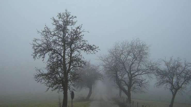 Фото: туман / wiktionary.org