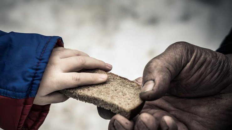 Человечеству грозит голод/ Фото: kodex.me