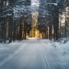 Украину засыплет снег: прогноз погоды на 2 декабря