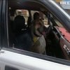 На роботу з вірним другом: у Болівії таксист взяв у напарники бездомного пса
