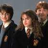 В Великобритании "древнейший" Гарри Поттер рекордно ушел с молотка (видео)