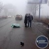 В Донецкой области ребенок погиб в ДТП 