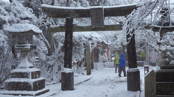 В Японии выпало рекордное количество снега/ Фото: rbc.ru