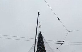 Главную елку Украины украсили звездой/ Фото: korrespondent.net