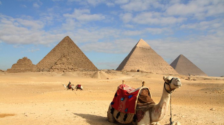 В Египте могут потребовать провести повторный ПЦР-тест