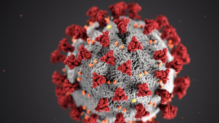 Создание вакцин от COVID-19 стало научным прорывом года по версии Science