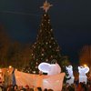"Елочка, гори! : в Трускавце задымилась новогодняя елка (видео)