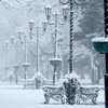 Мороз и метели: какая погода ждет украинцев в январе