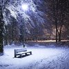 Украину накроют дожди со снегом: погода на 26 декабря 
