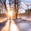 Тепло и солнце: погода 27 декабря удивит украинцев