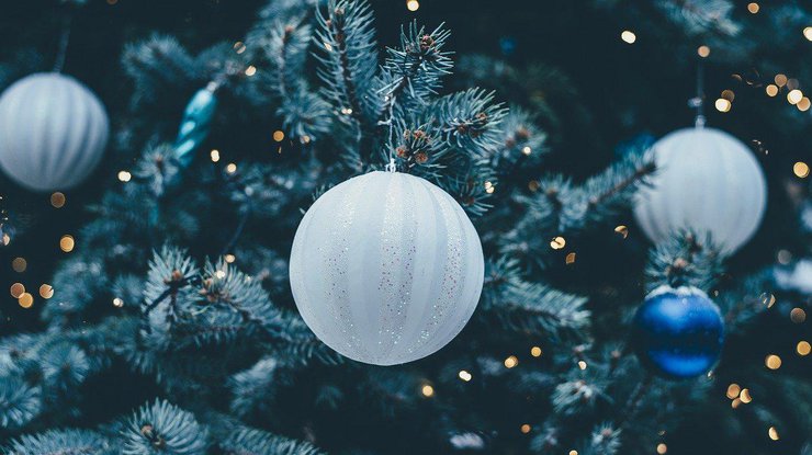 Новогодняя елка / Фото: Pixabay