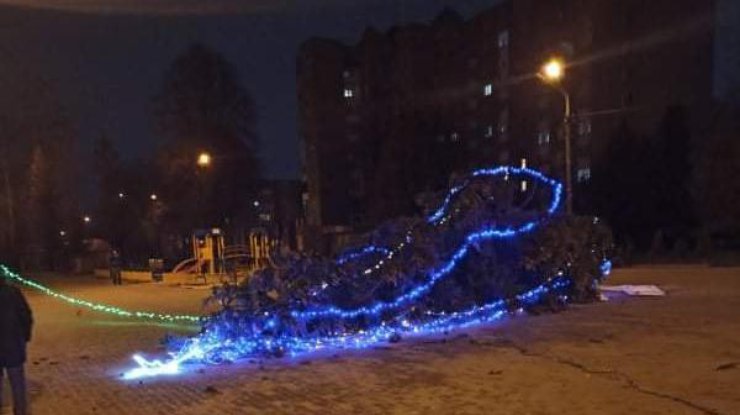 В Тернополе упала елка/ Фото: Facebook