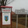 "Ситуация гражданской войны": в Венгрии сделали заявление по Закарпатью