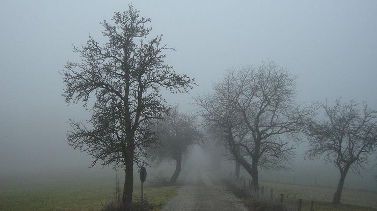 Фото: туман / wikipedia.org