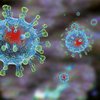 Какие продукты блокируют коронавирус в организме