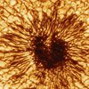 Пятна на Солнце: астрономы получили самое четкое изображение (видео)