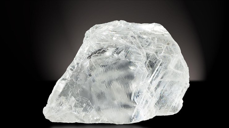 Лилия крошка алмаз фото