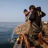 Захват рыбаков в Азовском море: в МИД сделали заявление 