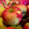 Почему ежедневно необходимо есть яблоки 