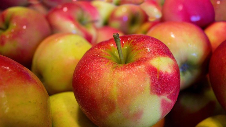 Почему необходимо есть яблоки / Фото: pixabay