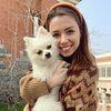 Не смогла забрать собаку: украинке не удалось эвакуироваться из Китая